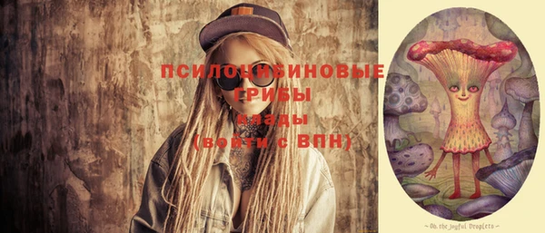 ПСИЛОЦИБИНОВЫЕ ГРИБЫ Володарск