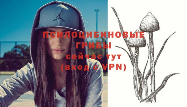 ПСИЛОЦИБИНОВЫЕ ГРИБЫ Володарск