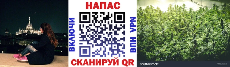 Канабис White Widow  ссылка на мегу маркетплейс  Льгов  закладки 